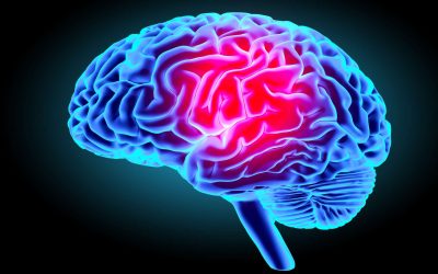 REPROGRAMMER VOTRE CERVEAU