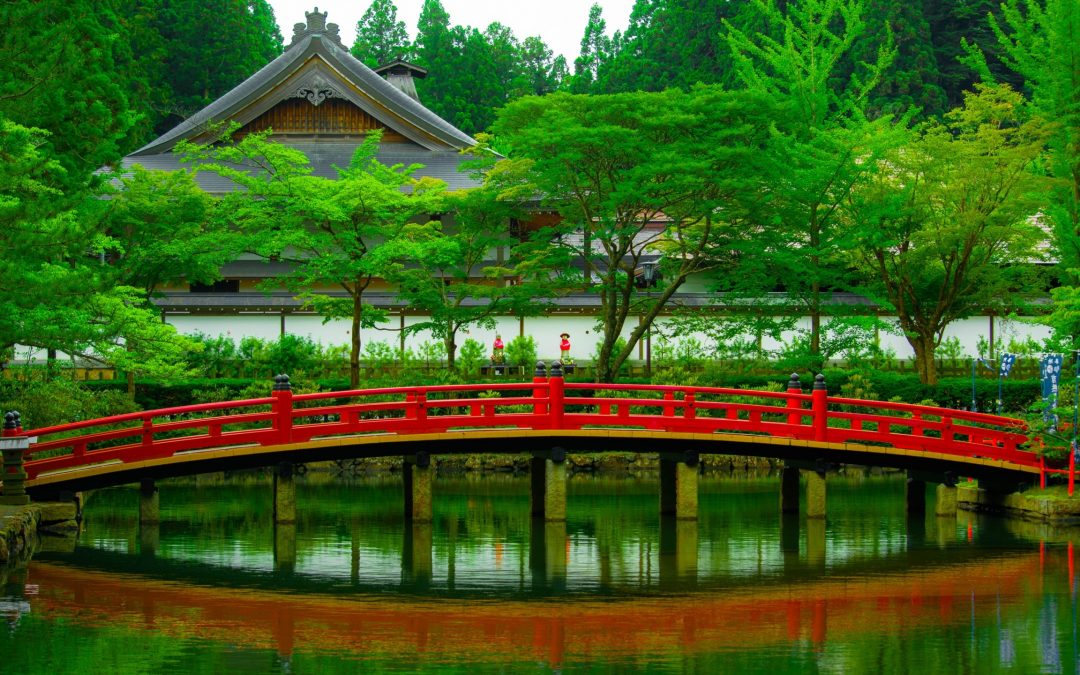 7 MAUVAISES HABITUDES QUI VOUS EMPÊCHENT DE RESTER ZEN