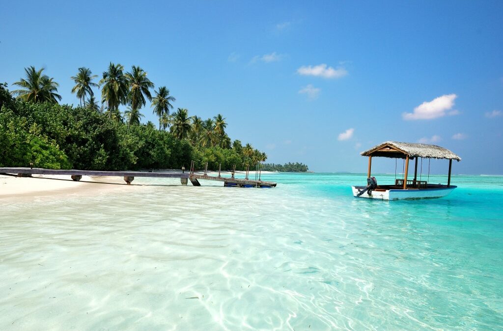 Liberté financière couverture d'article avec une plage